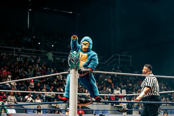 Le cardio à l'âge d'or : bénéfices et astuces