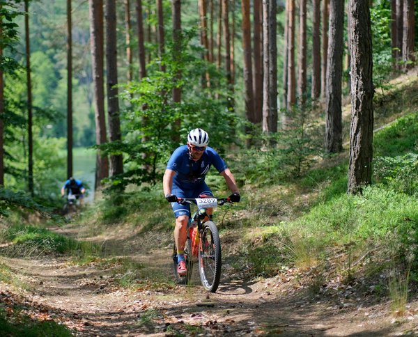 L'histoire du basket universitaire en France